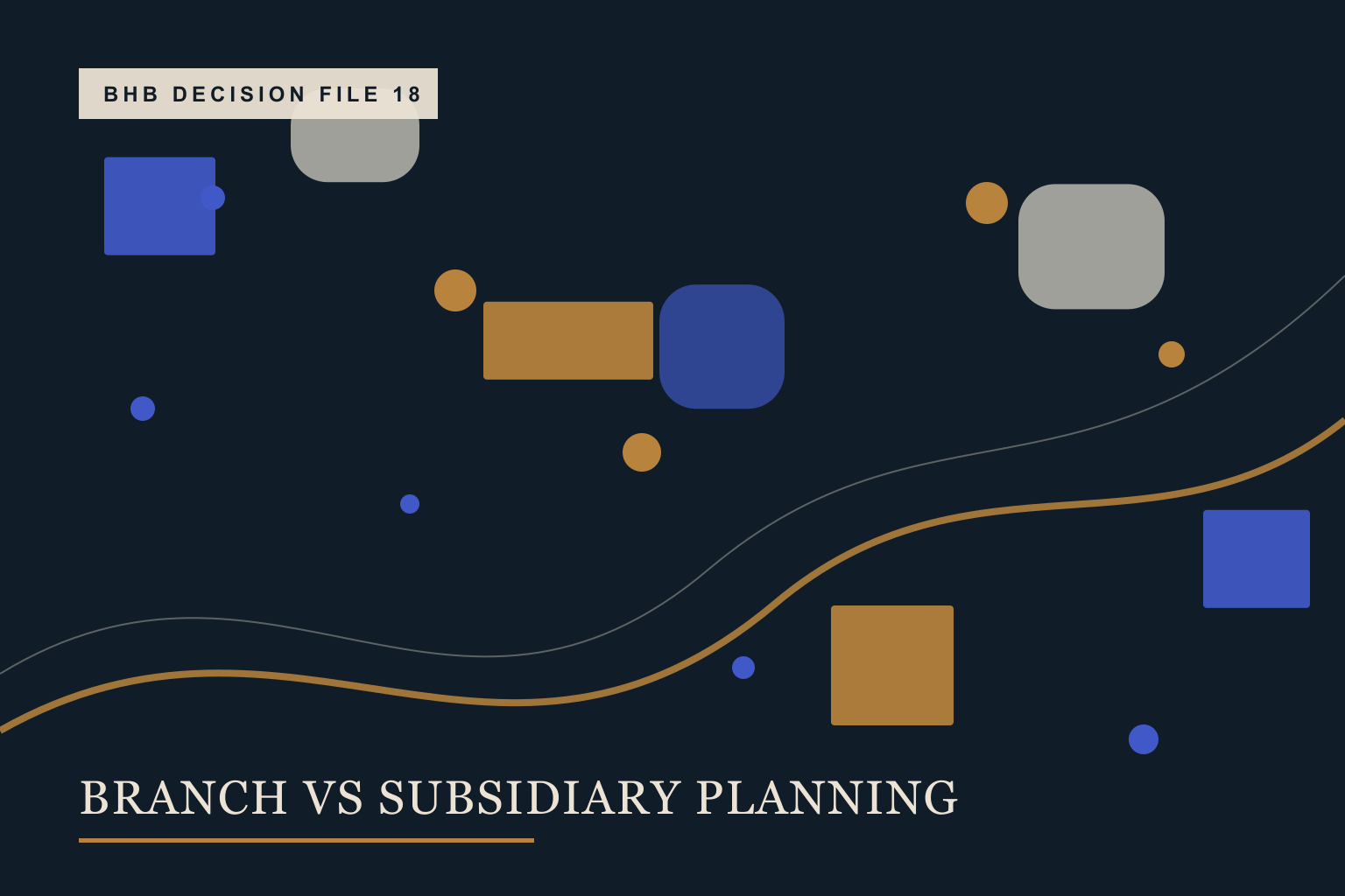 A parent company diagram splitting into branch and subsidiary structures