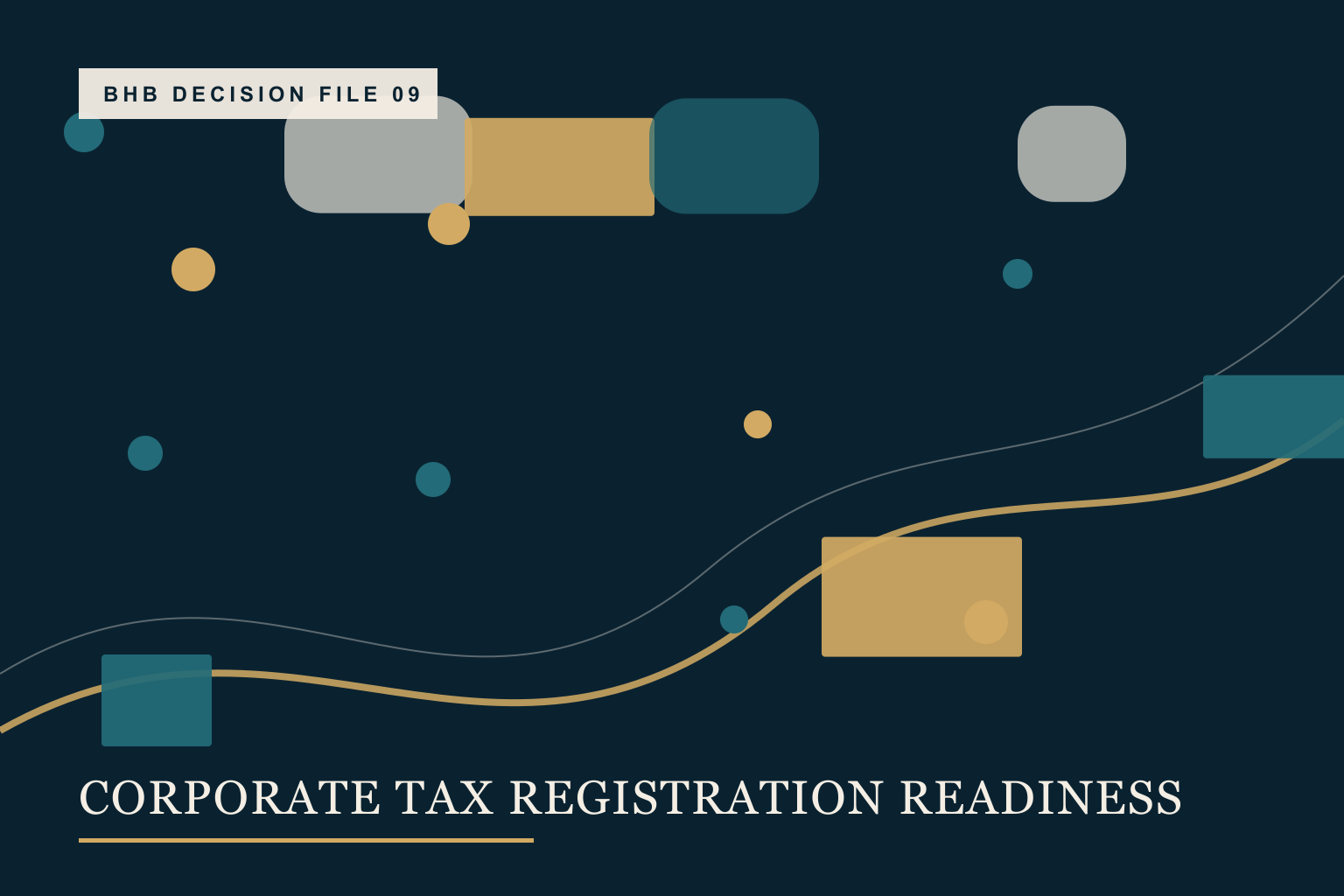 A tax registration file organised into entity, owner, signatory and deadline sections